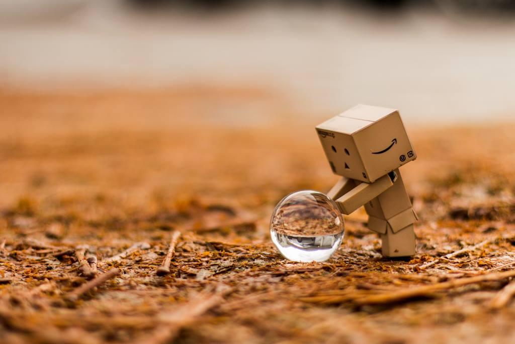 Picture of the Danbo figurine